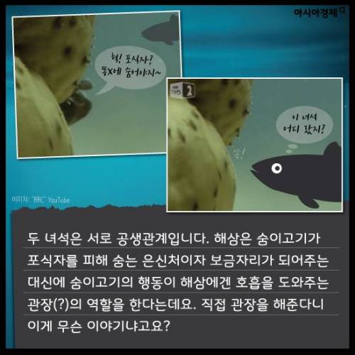 항문이 제일 살기 좋았어요.jpg