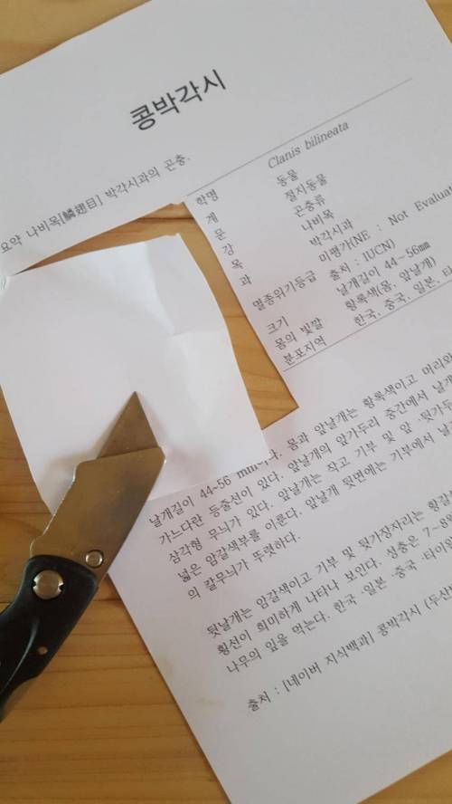 이새끼 왜 집에 안감?.jpg