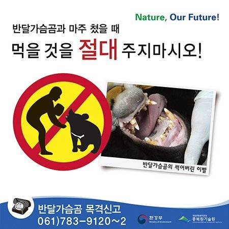 곰 출현주의.jpg