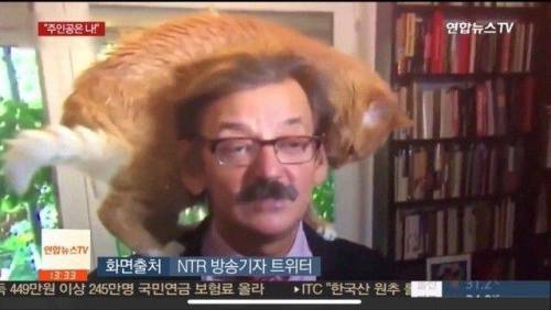 폴란드 교수 인터뷰중 괴한 난입.jpg