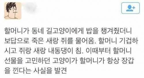은혜 갚은 고양이.jpg