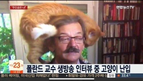 폴란드 교수 인터뷰중 괴한 난입.jpg