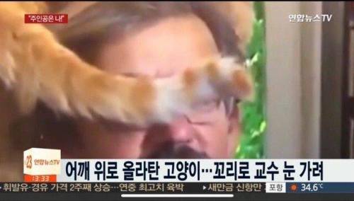 폴란드 교수 인터뷰중 괴한 난입.jpg