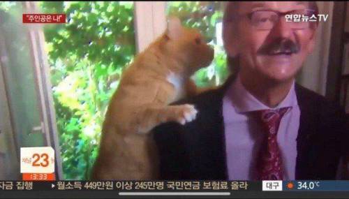 폴란드 교수 인터뷰중 괴한 난입.jpg