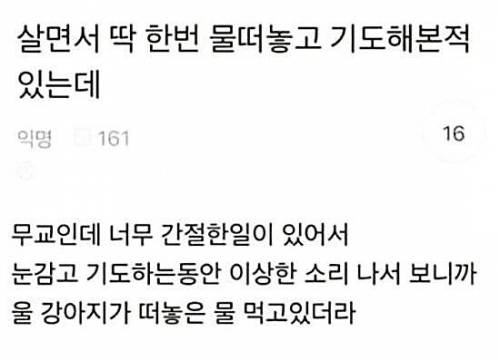 살면서 딱 한 번 물 떠놓고 기도해 본 적 있는데.jpg