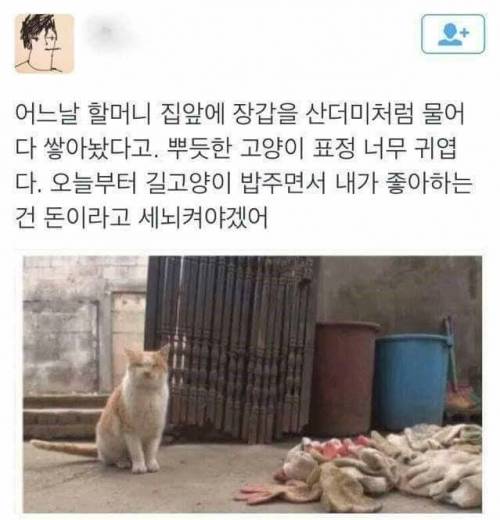 은혜 갚은 고양이.jpg