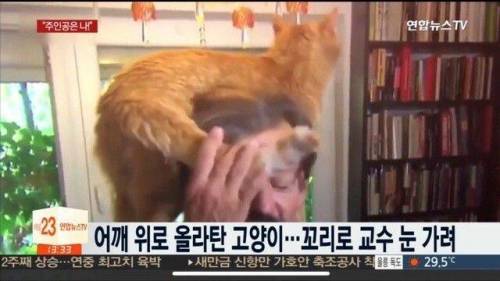 폴란드 교수 인터뷰중 괴한 난입.jpg