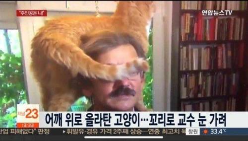 폴란드 교수 인터뷰중 괴한 난입.jpg