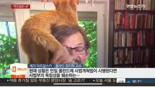 폴란드 교수 인터뷰중 괴한 난입.jpg