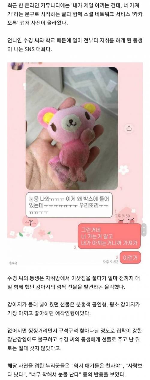 자취방서 짐 풀다 `울컥`하게 만든 댕댕이의 선물