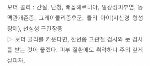 [스압] 알아두면 좋은 견종별 유전병.jpg