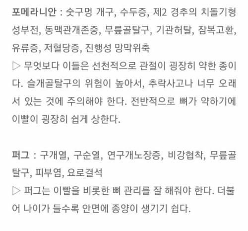[스압] 알아두면 좋은 견종별 유전병.jpg