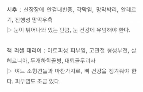 [스압] 알아두면 좋은 견종별 유전병.jpg