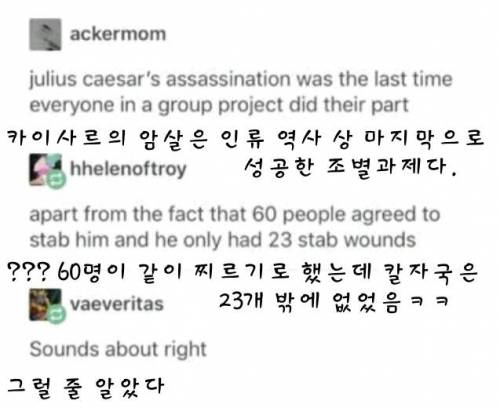 실패한 고대 조별과제.jpg