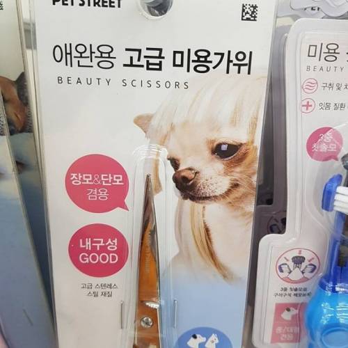 강아지 미용가위 사러 다이소를 갔는데.jpg