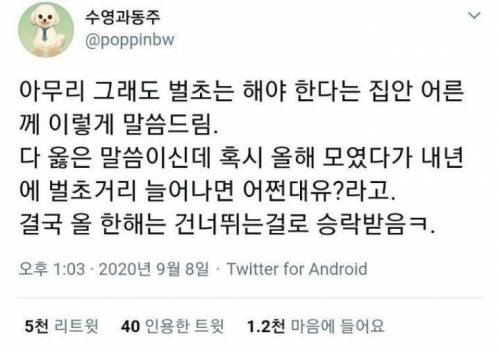 이시국에도 벌초는 해야한다는 집안 어르신.jpg