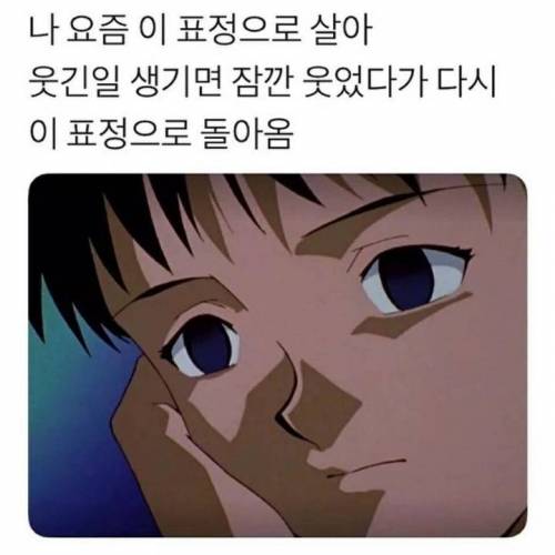 직장인들 디폴트 표정.jpg