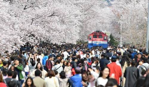 [스압] 불과 1년 전인데 너무 옛날 같은 우리들의 일상 사진.jpg