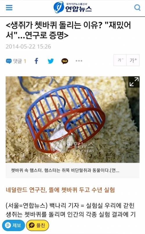 햄스터가 쳇바퀴를 타는 이유