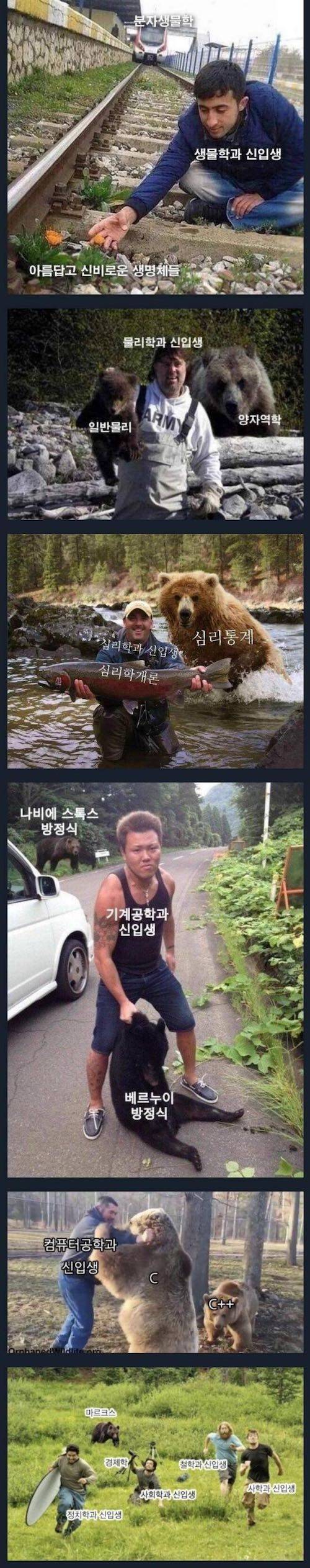 대학교 각과 신입생들이 입학후 직면하게 될 현실