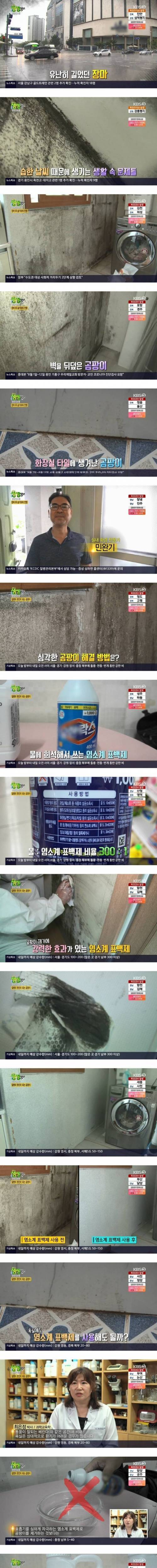 [스압] 집에 곰팡이가 있다면 해결방법.jpg