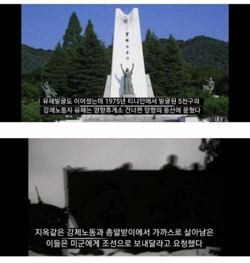 [스압] 주민 중 한국계가 45%인 남태평양의 섬.jpg