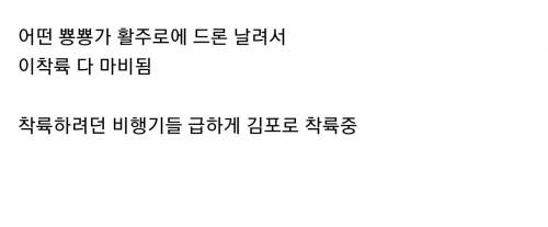 인천공항을 봉쇄한 빌런.jpg