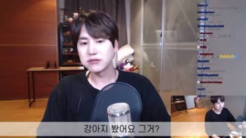 규현 닮은 강아지를 본 규현.jpg
