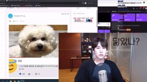 규현 닮은 강아지를 본 규현.jpg