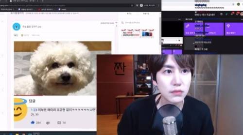 규현 닮은 강아지를 본 규현.jpg