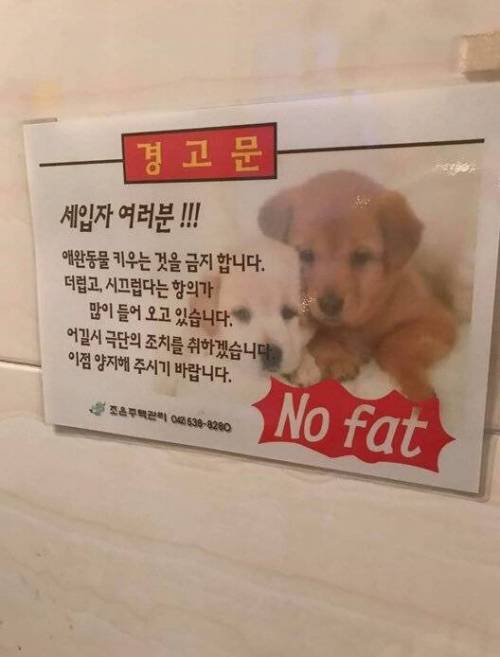 별안간 비만 공격....jpg