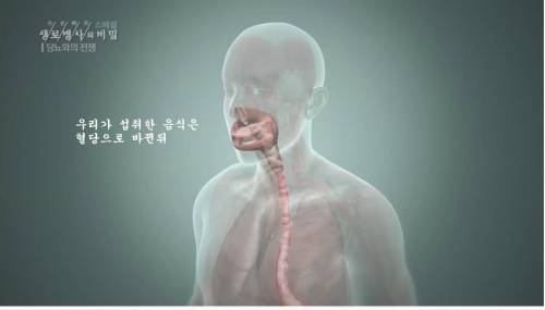 [스압] 당뇨를 이긴 사람들의 운동법.jpg