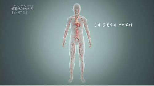 [스압] 당뇨를 이긴 사람들의 운동법.jpg