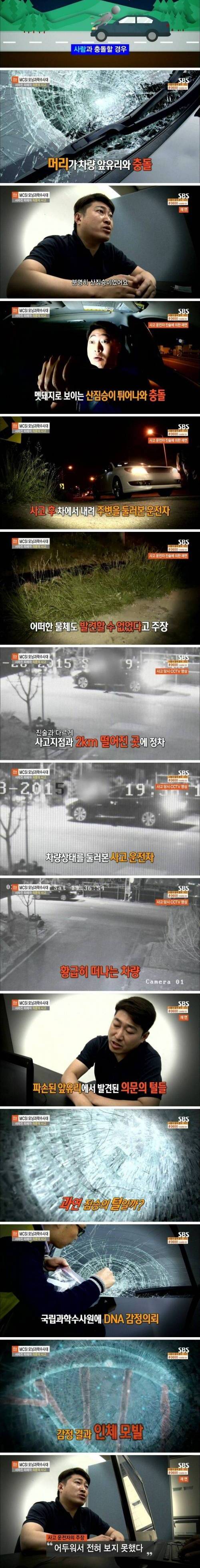 [스압] 산짐승을 치었다는 사고 운전자