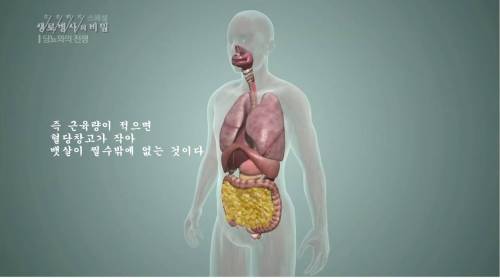 [스압] 당뇨를 이긴 사람들의 운동법.jpg