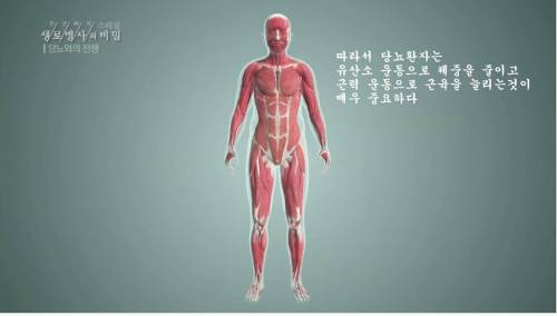 [스압] 당뇨를 이긴 사람들의 운동법.jpg