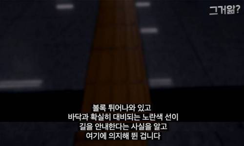 [스압] 비장애인에게도 점자블록 색깔이 중요한 이유