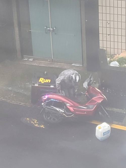 프로 배달러.feat 제주.jpg