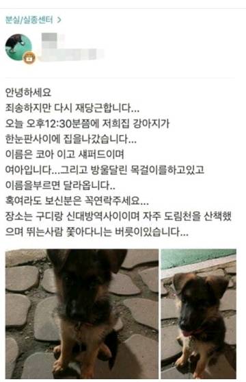 당근마켓의 순기능.jpg