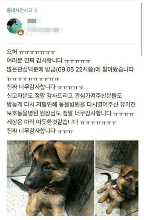 당근마켓의 순기능.jpg