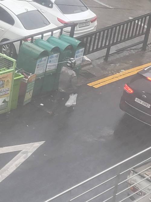 프로 배달러.feat 제주.jpg