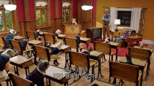 [스압] 넷플릭스의 강아지 드라마 '퍼피 아카데미'