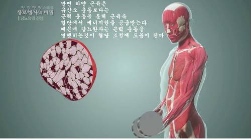 [스압] 당뇨를 이긴 사람들의 운동법.jpg