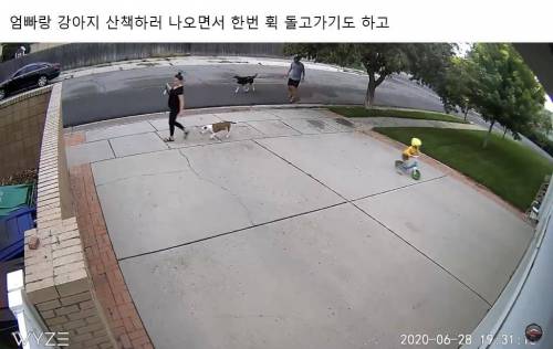 앞마당에서 만남을 추구하면 안되는 걸까?
