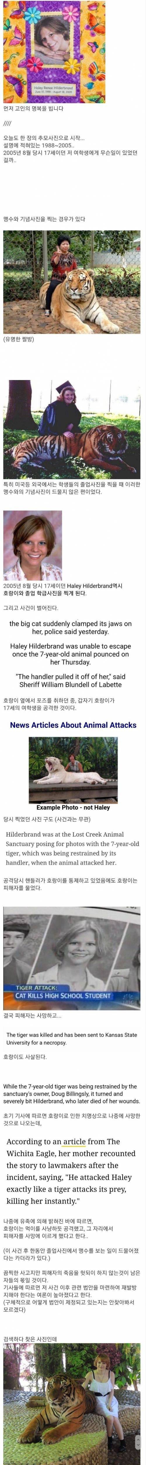 졸업사진 찍다 목숨을 잃은 여학생.jpg