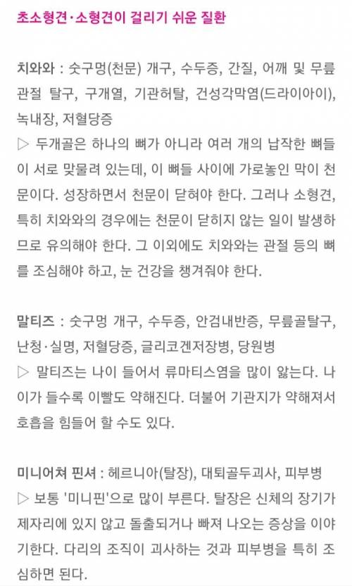 [스압] 알아두면 좋은 견종별 유전병.jpg
