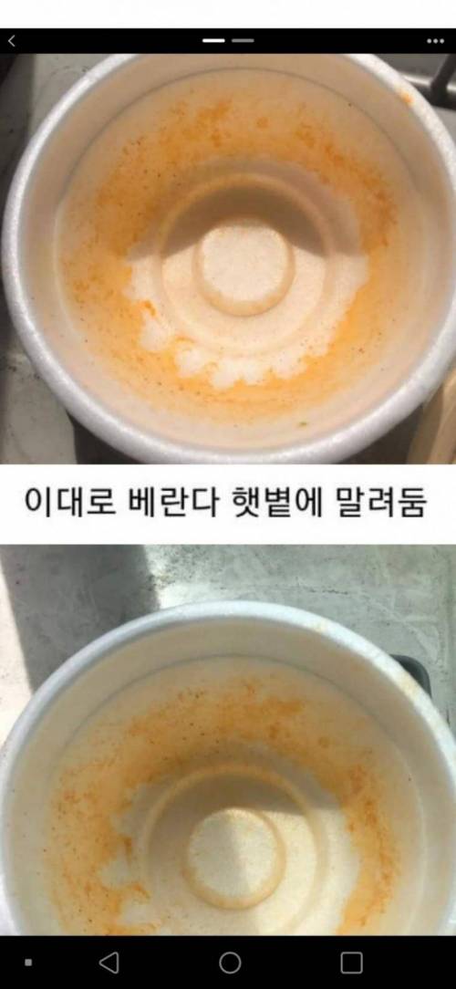 컵라면 용기 햇빛 설거지.jpg