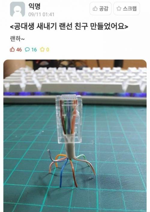 랜선 친구 만든 공대 새내기.jpg