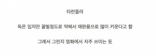억울할정도로 위험한 동물로 알려져 있는.jpg