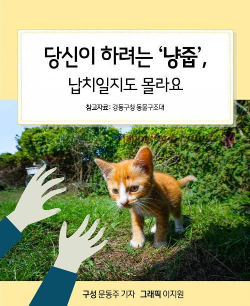 당신이 하려는 `냥줍`…"납치일지도 몰라요"